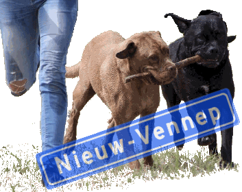 uitlaatservice Nieuw-Vennep Hillegom Beinsdorp hondenuitlaat hond uitlaat